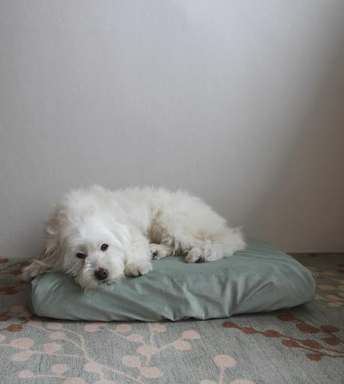 Elastic Replacement Dog Bed Cover Washable Sage Green 45 x 35 Inch