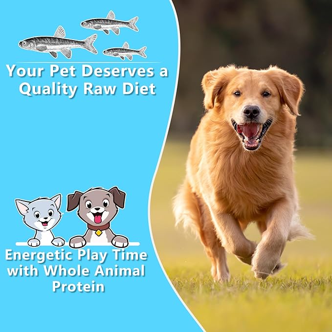 Minnows 4 oz Freeze Dried Minnows, 100% Natural Cat & Dog Treat