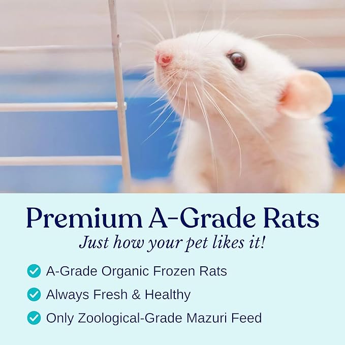 MiceDirect Frozen Rat Pups Feeder Food Adult Corn Snakes Juvenile Adult Ball Pythons Monitor Lizard (100 Count)