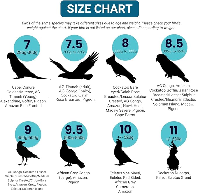 Bev's Bird Boutique Regular Flyper Adjustable Bird Diaper | Reusable, Washable Cloth | Comfort Fit for Parrot, Cockatiels, & Other Small Birds | Fashionable Avian Accessories, Pirate, Size 6