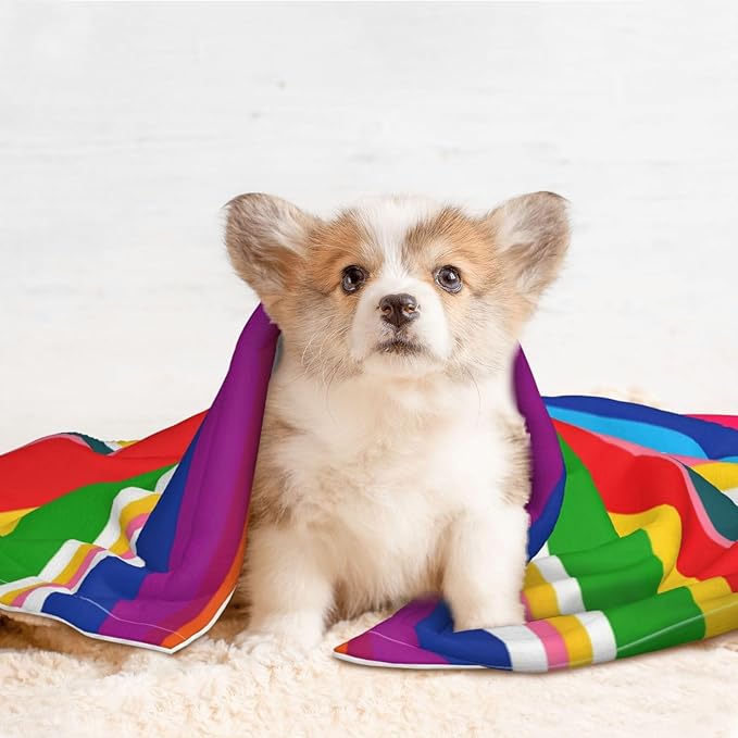 Two Sided Plush Pet Blanket for Crates Carriers Home Use, Novel Colorful Mexican Blanket Stripes, Reversible Throw with Cozy Dot Fabric and Silky Reverse for Small Large Pets