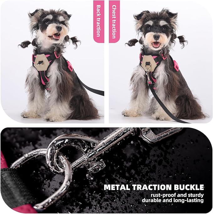 Small Dog Harness and Leash Set, Breathable Mesh Puppy Harness, Adjustable Dog Harness for Small Medium Large Dogs, No-Pull Pet Harness for Daily Walking (Hotpink, Medium)