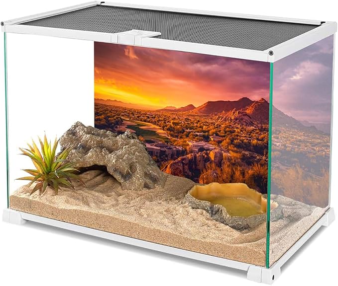 AWERT 36x24 inches Sun and Desert Terrarium Background Mountain Oasis Gobi Reptile Habitat Background Vinyl