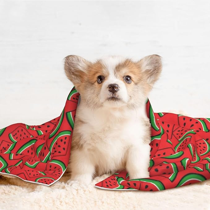 Two Sided Pet Cuddler Blanket for Anxiety Calming, Summer Fruit Red Green Watermelon, Reversible Plush Design with Bubble Dot Pattern Provides Familiar Surface Anywhere