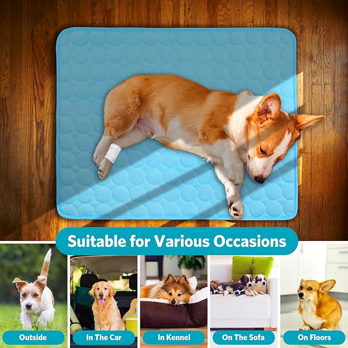 SHEJIZE Dog Cooling Mat Dog Cooling Pad Self Cooling Blanket, Washable Cooling Mat for Dogs, Pet Cooling Mat Keeps Pets Cool in Summer Heat, Resuable Fabric Cooling Mat (Blue, 28x22inch)