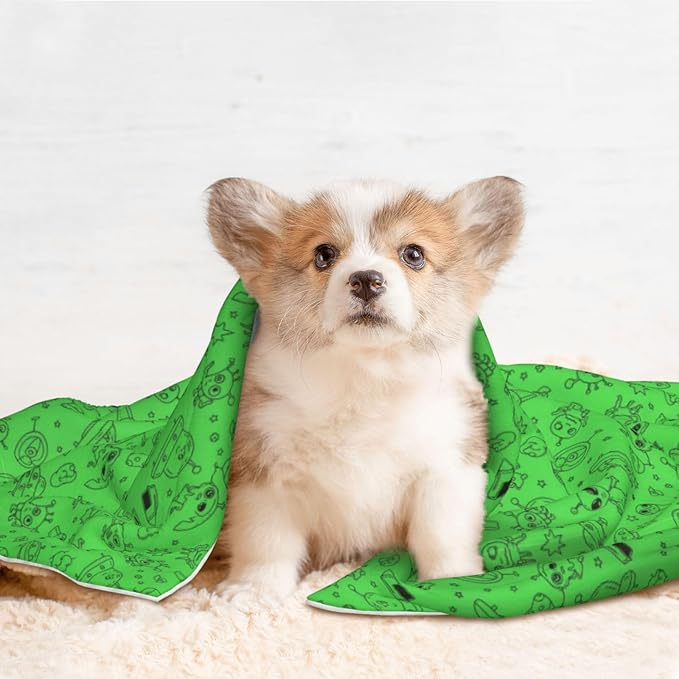 Pet Blanket for Travel and Home, Funny Aliens Dinosaurs Sasquatch, Reversible Plush Dot Design with Soft Grip Texture on One Side Perfect for Car Seats Moving Vehicles
