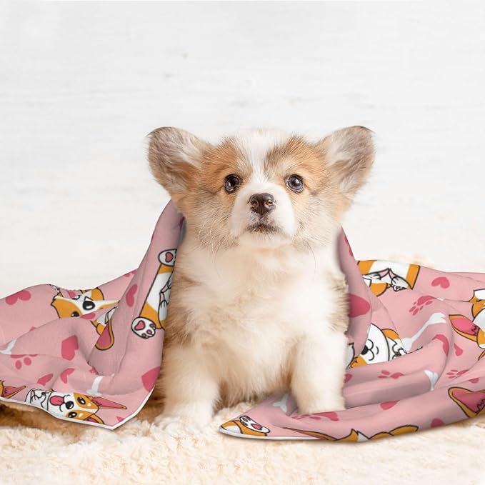 Two Sided Pet Cuddler Blanket for Anxiety Calming, Cute Happy Corgi Dog, Reversible Plush Design with Bubble Dot Pattern Provides Familiar Surface Anywhere