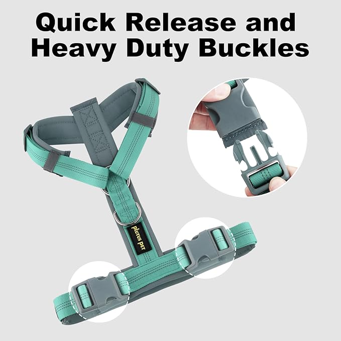 Plutus Pet No Pull Dog Harness, Adjustable Nylon Harness with Soft Padding, Reflective and Heavy Duty Dog Harness for Small, Medium, Large Dogs(Teal, XS)