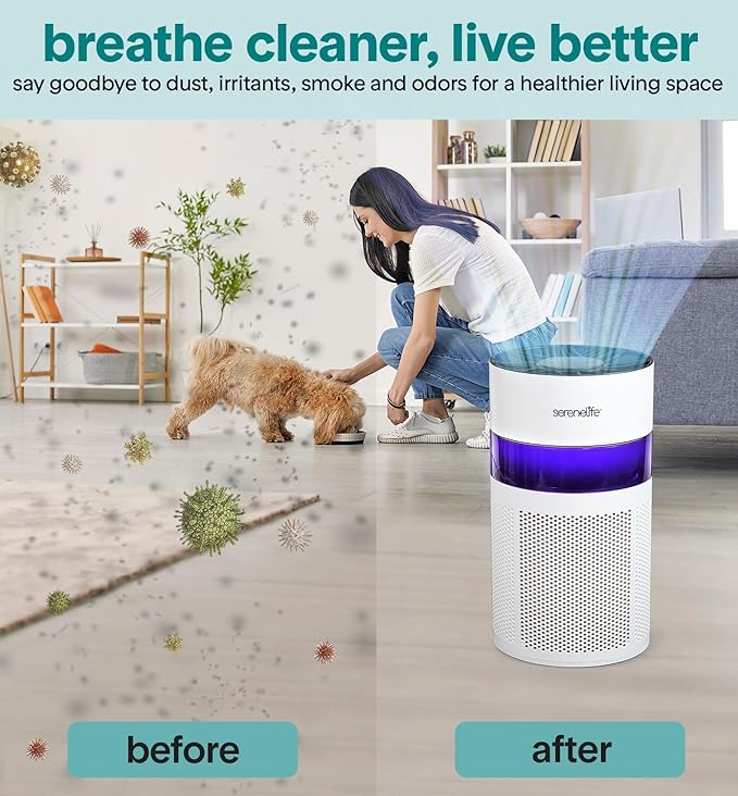 SereneLife Portable Air Purifier - Small Air Purifier with Aroma Box & Ambient Light, High Filtration Efficiency, 2-Speed, Timer & Sleep Mode, Filter Change Reminder, 6 x 6 x 12 in. (White)