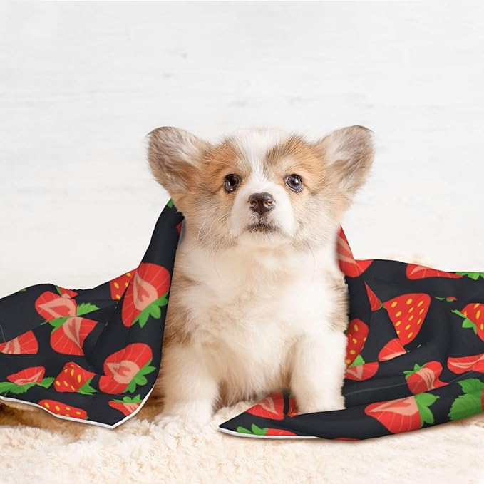 Two Sided Pet Cuddler Blanket for Anxiety Calming, Cute Red Strawberry Pattern Black, Reversible Plush Design with Bubble Dot Pattern Provides Familiar Surface Anywhere
