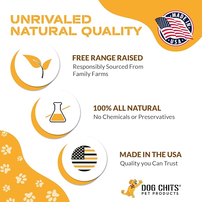 Dog Chits Cow Ears for Dogs – All Natural Cow Ear Dog Treats & Training Chews – High Protein, Low Fat – Thick Cut, Full-Sized – Dental Clean Crunch – Ideal for Medium & Large Dogs – Large, 10 Pk