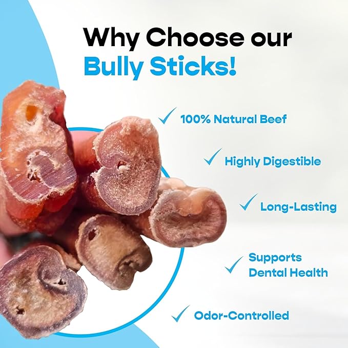 Yak Cheese and Bully Stick Holder Combo Pack, Large Yak Cheese (4 Pcs) and 12" Thick Bully Sticks (5 Pcs) - Includes Bully Bone Holder for Safe, Secure and Smarter Chewing