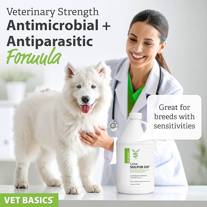 Vet Basics Lime Sulfur Dip – Skin Itch Relief Concentrated Antimicrobial & Antiparasitic Solution for Dogs, Cats, Puppies, Kittens & Horses, Helps Manage Ringworm, Mange, Skin Irritation, 1 Gallon
