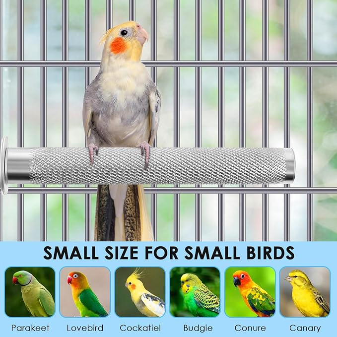 KATUMO Parrot Perch - Stainless Steel African Grey Perch Bird Cage Accessories for Small to Large Parrots (11.8 x 1.2 inch)