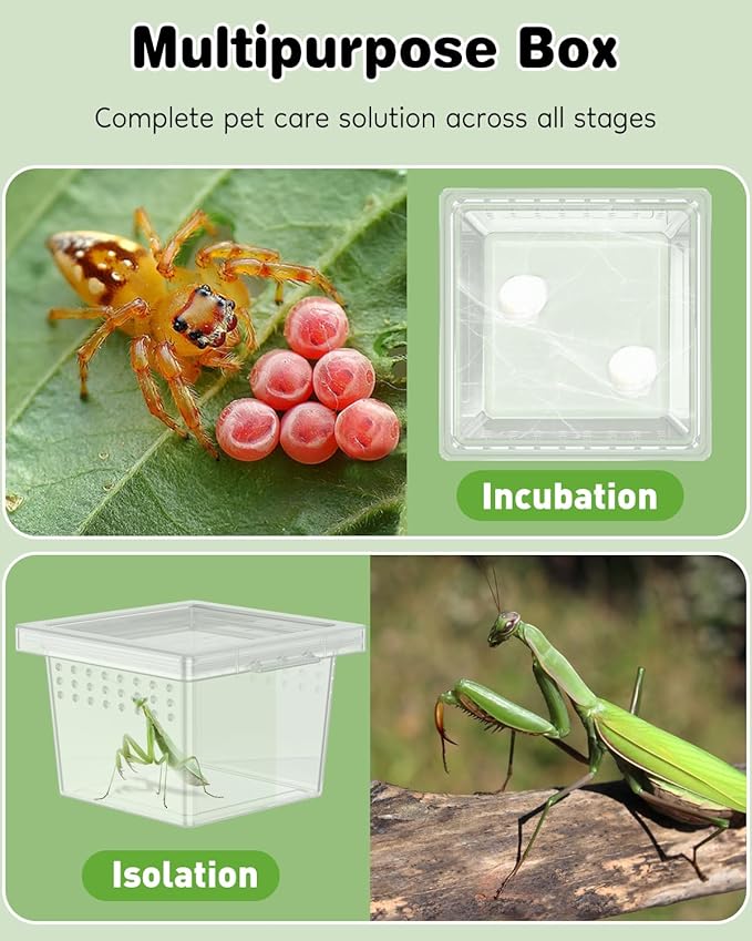 Pawfly 10 Pcs Mini Spider Terrarium Breeding Box, Transparent Plastic Jumping Spider Enclosure Cricket Keeper Tarantula Enclosure, Small Reptile Hatching Container for Scorpion Centipede Gecko Mantis