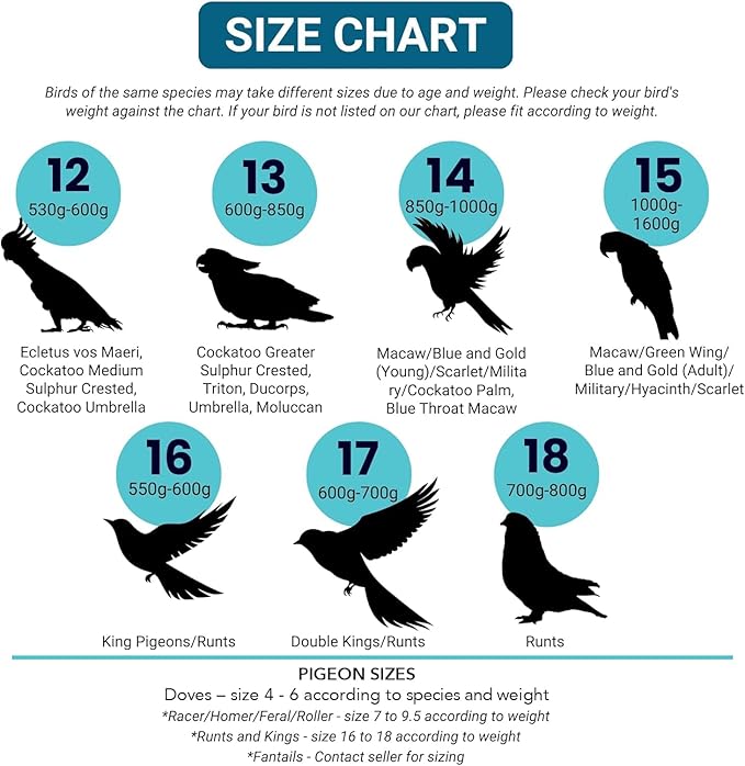 Bev's Bird Boutique Regular Flyper Adjustable Bird Diaper | Reusable, Washable Cloth | Comfort Fit for Parrot, Cockatiels, & Other Small Birds | Fashionable Avian Accessories, Regal, Size 6