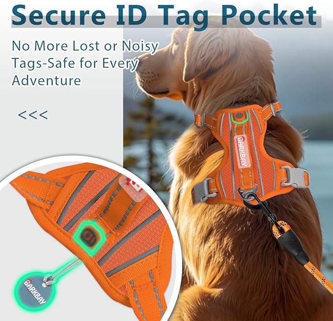 BARKBAY Dog Harness No Pull with ID Tag Pocket - Heavy Duty, Reflective, Easy Control for Large Dogs(Orange,M)