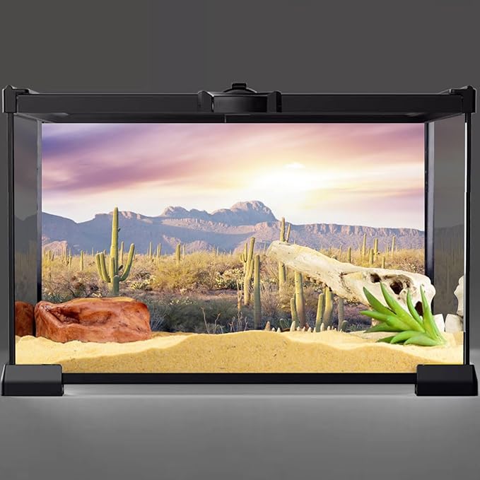 AWERT Reptile Habitat Background Blue Sky Oasis Mountain Cactus Sun and Desert Terrarium Background 36x24 inches