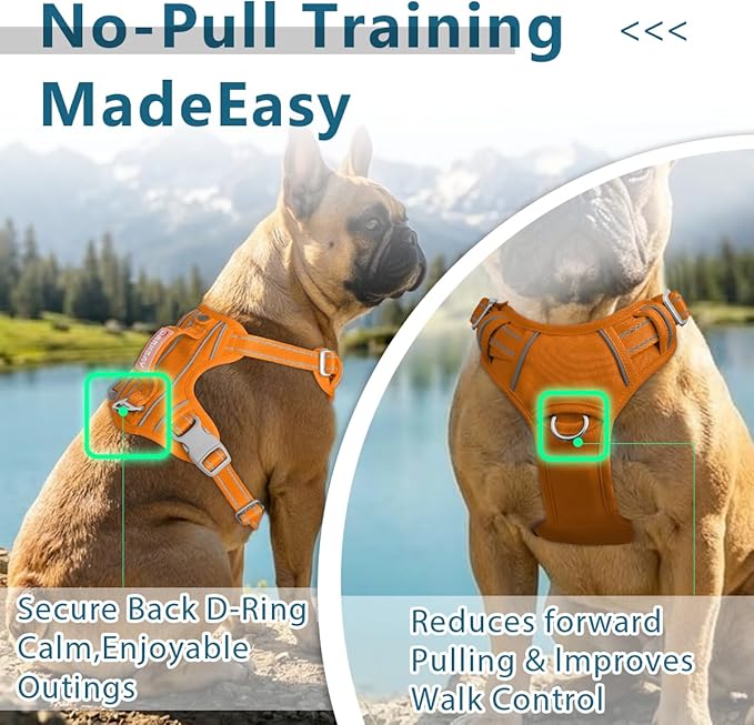 BARKBAY Dog Harness No Pull Oxford with ID Tag Pocket - Heavy Duty, Reflective, Easy Control for Large Dogs(Pumpkin Oxford,L)