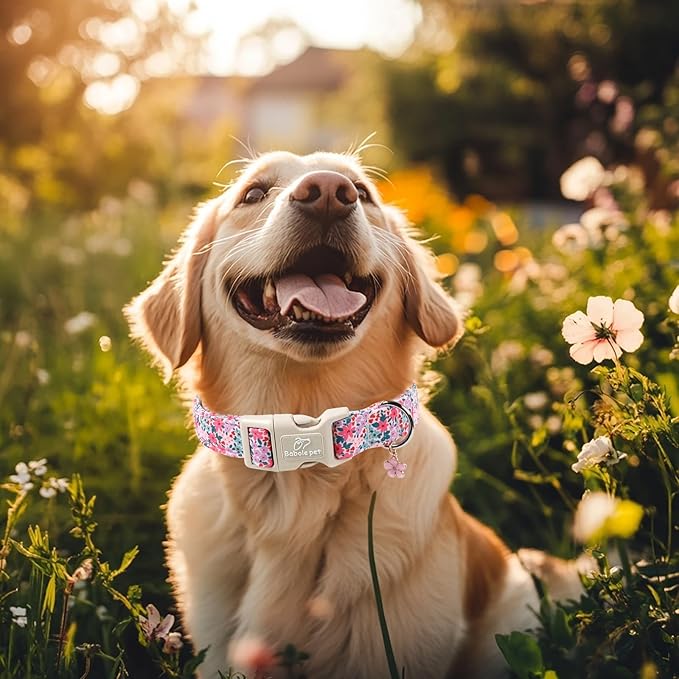 Floral Dog Collar, Cute Girl Dog Collars - Pastel Wildflowers Pattern Spring Summer Puppy Collar, Adjustable Female Dog Collars for Small Medium Large Dogs L