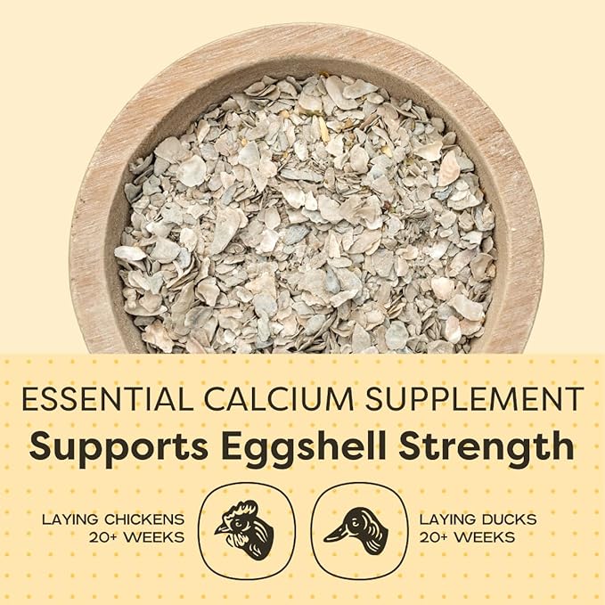 Scratch and Peck Oyster Shell Supplement - 4 lb Bag - Natural Calcium Boost for Healthy Eggshells in Chickens and Ducks, Sustainably Sourced Pure Flaked Oyster Shell