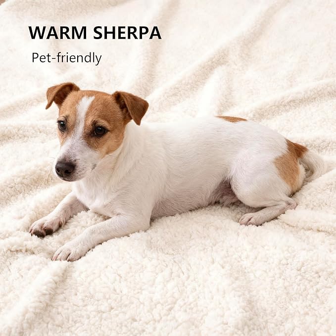 Waterproof Dog Blanket for Medium Dog, Leak Proof Pet Couch Sherpa Throw Blankets for Cat, Reversible Sofa Bed Protector Machine Washable-30 x40,Darkgrey