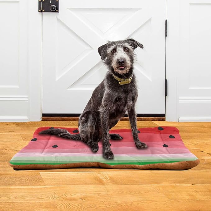 Pet Bed Watermelon Fruits Dog Bed Mat Absorbing Non Slip Pad Pet Sleeping Mat for Small, Medium, and Large Dogs Puppy Cat 36 in x 24 in