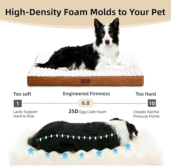 Orthopedic Dog Bed with Firm High-Density Egg Crate Foam,Soft Short Plush Surface Pet Beds,Machine Washable with Removable Cover & Non-Slip Bottom for Medium & Large Breeds (Brown, 35"L x 22"W x 3"H)