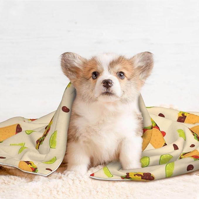 Double Sided Pet Throw for Dogs Who Shed, Mexican Taco, Reversible Blanket with Nubby Dot Side Catches Loose Fur for Easier Furniture Cleanup