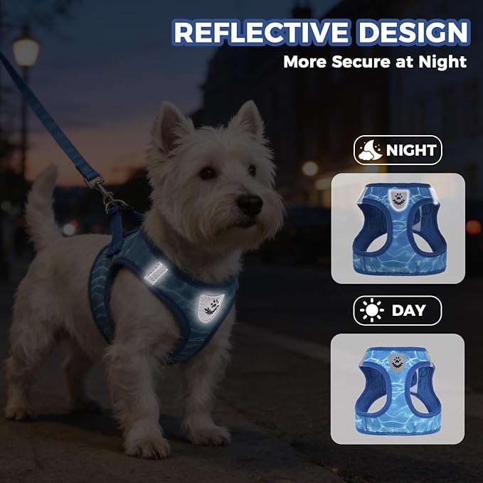 PAWCHIE Dog Harness and Leash Set, Step in No Pull Soft Pet Harness, Reflective Adjustable Puppy Vest for Small Medium Dogs Cats, No Choke Harness Vest with Poop Bag Holder for Walking,Running,Blue S