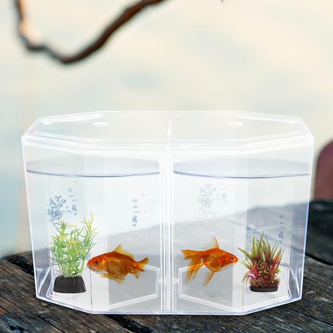 POPETPOP Mini Fish Tank with Divider : Acrylic Fish Breeding Tank Transparent Breeding Box Small Aquarium Box for Small Shrimp