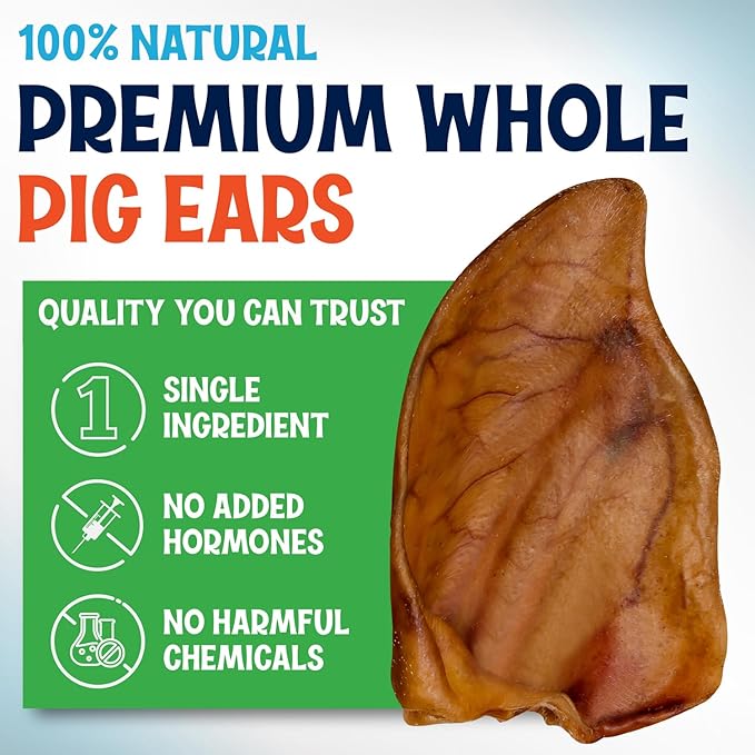 Whole Pig Ears for Dogs Large - 50 Pack Long Lasting Dog Chews – One Ingredient Delicious All Natural Flavor – Easy to Digest Dog Treats for Large Dogs - Great for Teeth and Gums