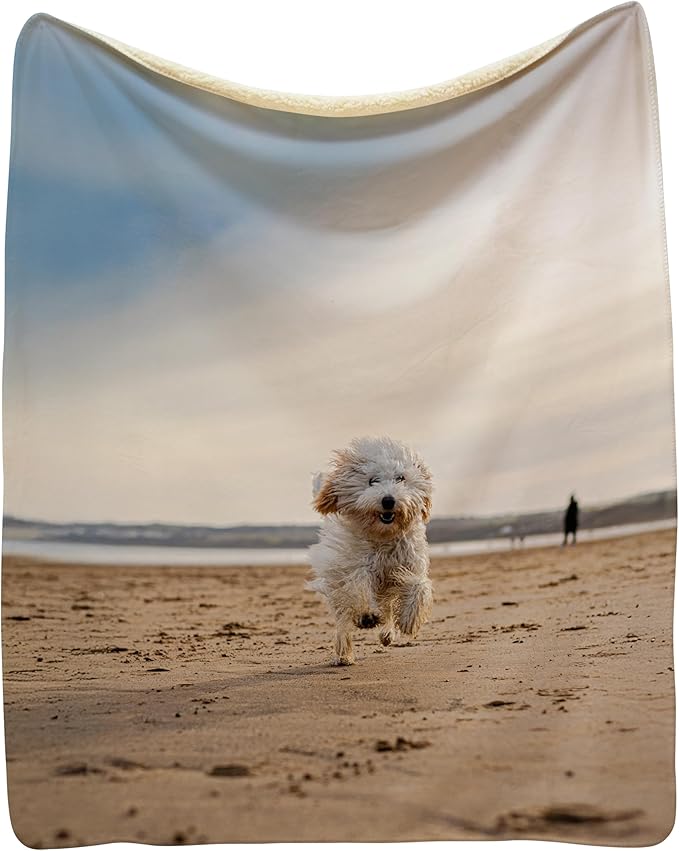Prints Next Day – Custom 60" x 80" Sherpa Pet Lightweight Blanket with Photo Upload - Gift for Dog or Cat Owners - Personalized Couch Throw - Printed in America