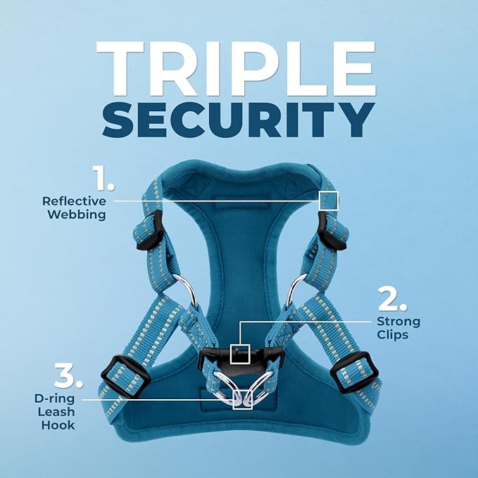 Best Pet Supplies Voyager Adjustable Step-in Flex Breathable Mesh Dog Harness for Small Medium Large Dogs Leash Set (Turquoise), XL