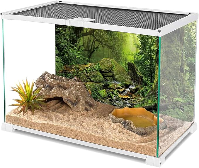 AWERT Tropical Forest Terrarium Background Stream Green Huge Tree Reptile Habitat Background Foggy Rainforest Aquarium Background 30x12 inches Durable Polyester Background