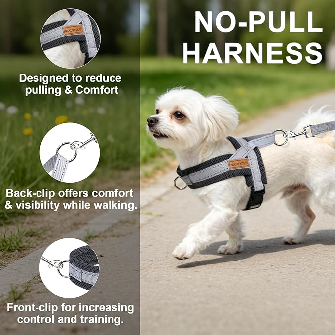 BEAUTYZOO Dog Harness for Small Dogs, No Pull Dog Harness and Leash Set, Soft Escape Proof Puppy Vest Harness with Handle, Reflective Lightweight Step in Harness for Girl Boy Dogs, Grey S