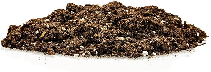 GARDENERA Money Tree Potting Soil Mix for Planting or Repotting Guiana Chestnut, Soil Blended to Properly Grow Money Tree Plants (2 Quart Bag)