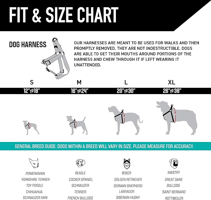 Wolfgang Heavy Duty Adjustable Dog Harness, Pull-Tested for Walking & Training, LazyDaisy Print, Small