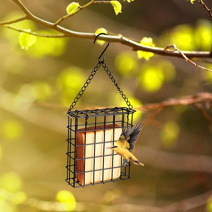 2Pcs Outdoor Suet Cage Bird Feeder, Wild Bird Feeder, Single Suet Cake Capacity, Fruit and Suet Feeder Style for Outside Hanging(Black)
