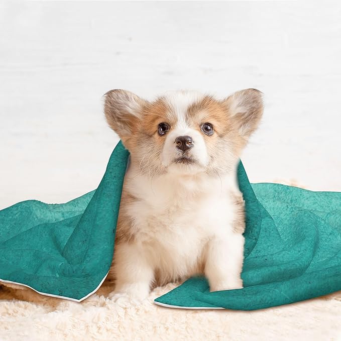 Waterproof Dog Blanket Soft Pet Blanket for Puppy Cat, Fleece Cat Throw Blankets for Furniture Bed Couch Sofa Reversible - Teal Turquoise1