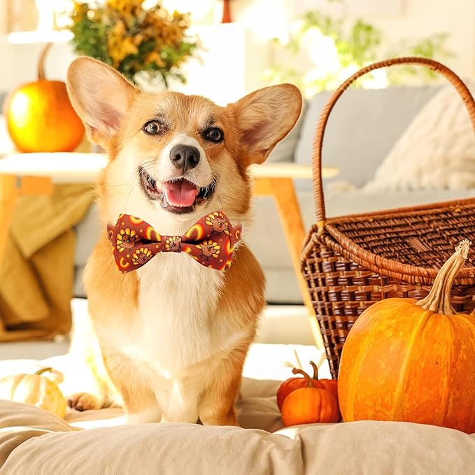 Thanksgiving Dog Collar with Bow Tie Set, Holiday Turkey Pattern Pet Collar for Small Medium Large Dogs, Cute Adjustable Puppy Collar with Quick Release Buckle