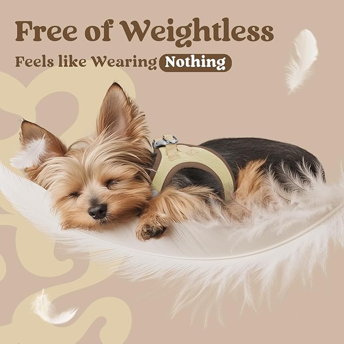 rabbitgoo Small Dog Harness, Step-in Soft Mesh Puppy Vest with Safety Buckle, Breathable Reflective Pet Harness for Small Sized Dogs, Brown & Beige M