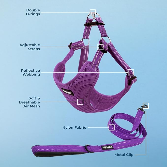 Best Pet Supplies Voyager Adjustable Step-in Flex Breathable Mesh Dog Harness for Small Medium Large Dogs Leash Set (Purple), XL