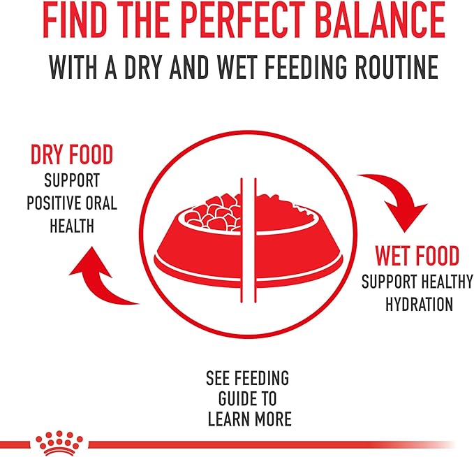 Royal Canin Feline Health Nutrition Aging 12+ Loaf in Sauce Canned Cat Food, 5.1 oz can (24-count)