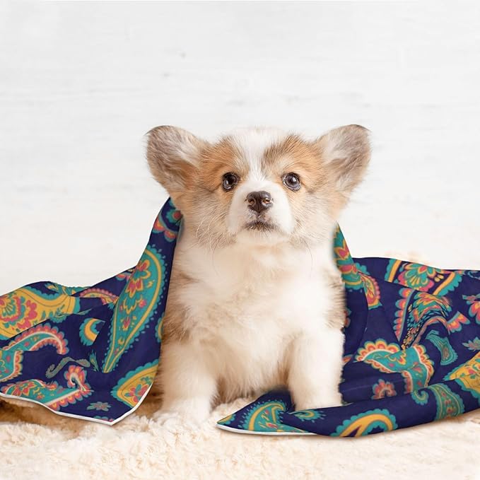 Pet Blanket for Couches and Beds, Colorful Paisley Flowers, Reversible Double Sided Plush Design with Soft Bumpy Texture and Smooth Surface, Furniture Protector