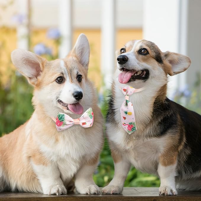 Reginary 100 Pieces Dog Bow Tie Collar Set Include 40 Dog Neckties, and 30 Puppy Bowties, 30 Collar Flowers, Adjustable Pet Ties Grooming for Small Medium Cats Pets Supply(Flamingo)