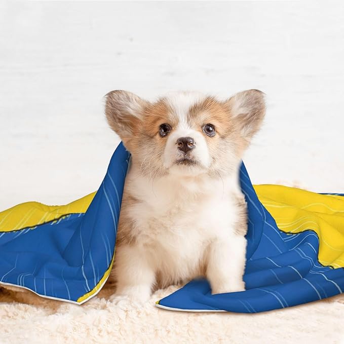 Pet Blanket for Car Rides Vet Visits, Abstract Ukraine Flag, Two Sided Reversible Plush Design with Bumpy Dot Side Offers Comfort Home Piece On Go Travel