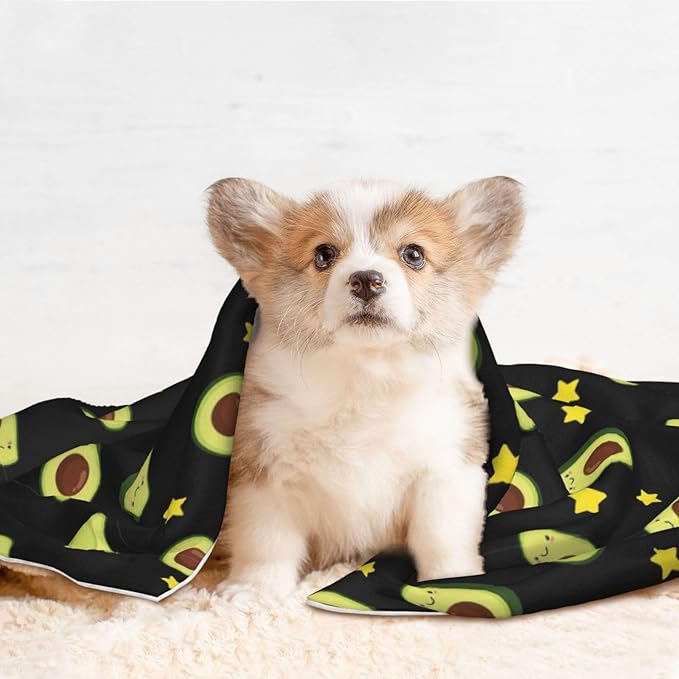 Pet Blanket for Indoor Outdoor Use, Avocado and Star Pattern Black, Two Sided Reversible Plush Mat with Bumpy Dot Texture for Patios Crates Portable Bed Companion