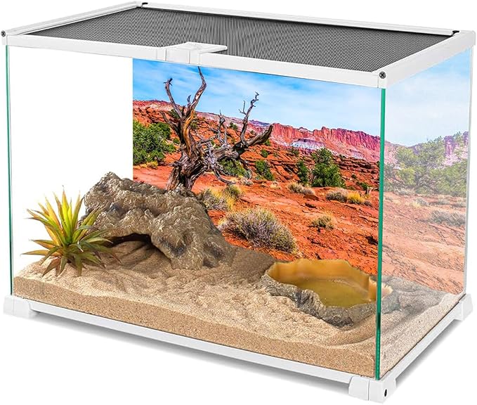 AWERT 36x24 inches Reptile Habitat Background Blue Sky Oasis Orange Desert Terrarium Background