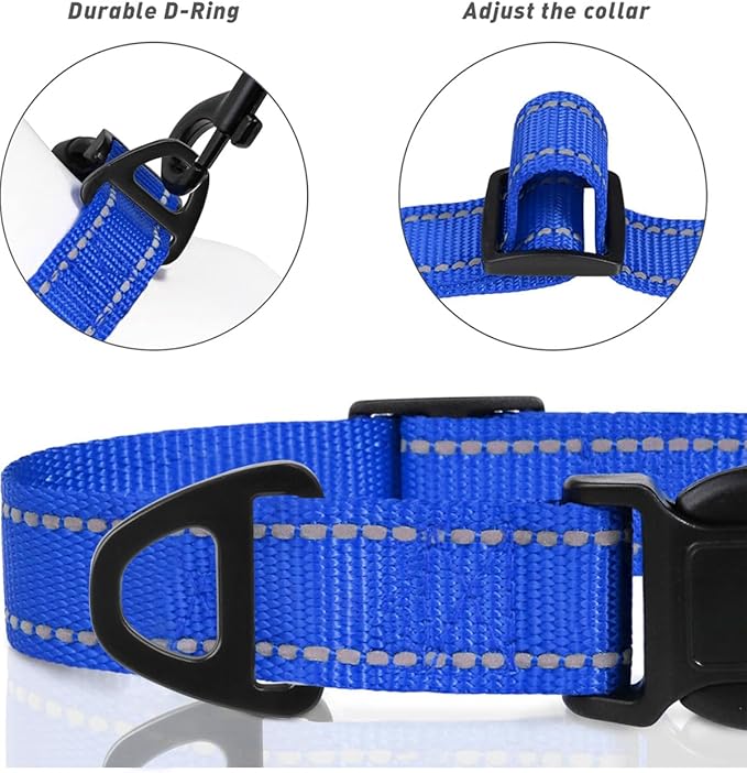 TagME Reflective Nylon Dog Collars, Adjustable Classic Pet Collar with Quick Release Buckle for Extra Small Dogs, Royal Blue, 5/8" Width